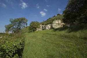 Bemelerberg Natuurgebied Print