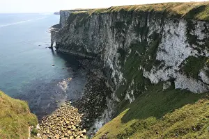 Yorkshire Wildlife Reserve Prints: Bempton Cliffs