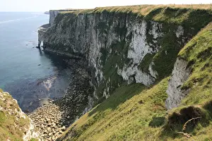 British Coast Scenery Prints: Bempton Clifs