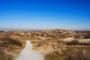 Dune Landscape Netherlands Prints: Berkheide
