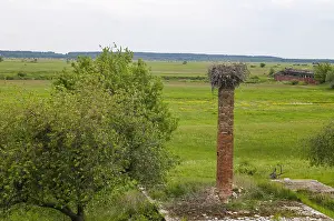 Poland National Park Prints: Biebrza