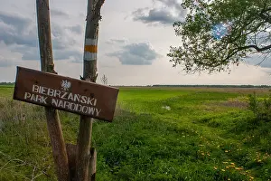 Protected Area In Europe Prints: Biebrza