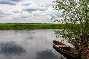 Poland National Park Prints: Biebrza