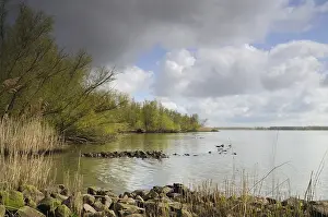 Netherlands Landscape Photography Prints: Biesbosch