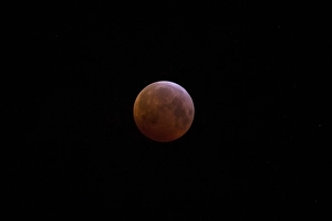 Blood Moon Eclipse Prints: Blood Moon in total lunar eclipse, bloedmaan tijdens volledige maansverduistering