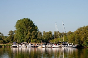 June Prints: Brabantse Biesbosch Print: Yachts in the Brabantse Biesbosch