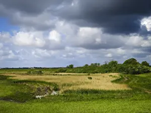 Netherlands Nature Reserve Prints: Ceres at Texel