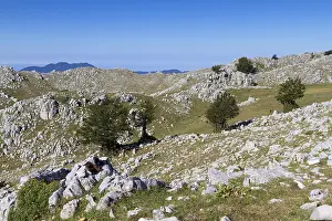 Mountain Top Views Prints: Cervati mount