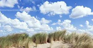 Blue Sky Over Dunes Prints: Clouds over Dutch dunes