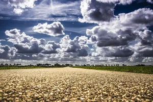 Cloudy Skies Netherlands Prints: Cloudy skies over Dutch fields