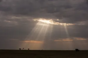African Wilderness Photography Prints: A cloudy sky over the savannah