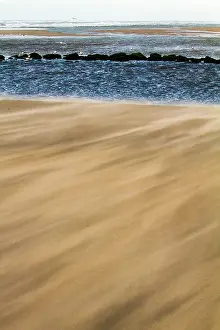 Beach Landscape Prints: Drifting sand