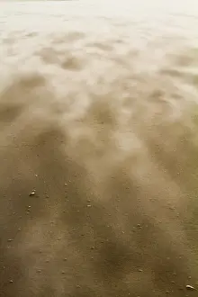 North Sea Beaches Prints: Drifting sand