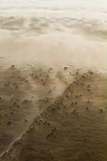Stormy Beach Scene Prints: Drifting sand