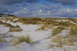 Dutch Winter Landscapes Prints: Duinen, Dunes