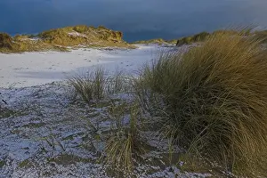 Dutch Winter Landscapes Prints: Duinen, Dunes
