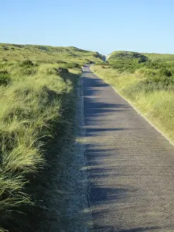 Fietspad Print in the Dunes