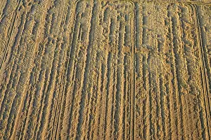 Farmland Aerial View Prints: Flevopolder