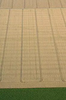 Farmland Aerial View Prints: Flevopolder