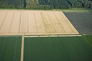Farmland Aerial View Prints: Flevopolder