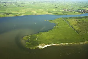 Netherlands Nature Reserve Prints: Friesland