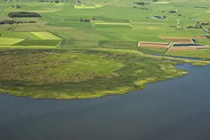 Netherlands Nature Reserve Prints: Friesland