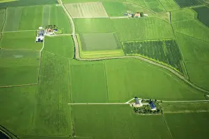 Rural Netherlands Landscape Prints: Friesland