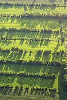 Rural Netherlands Landscape Prints: Friesland