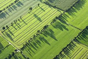 Rural Netherlands Landscape Prints: Friesland