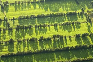 Rural Netherlands Landscape Prints: Friesland