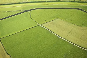 Rural Netherlands Landscape Prints: Friesland