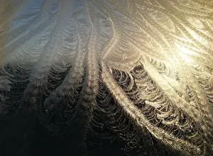 Frosty Winter Scene Prints: Frost on window