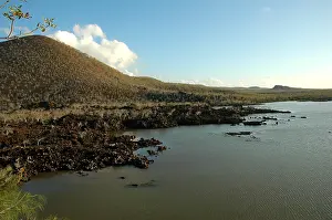 Galapagos Islands Prints: Galapagos