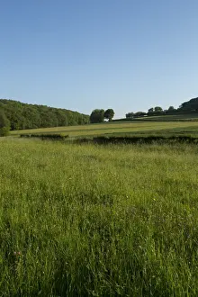 Gerendal Nature Reserve Print from Agami