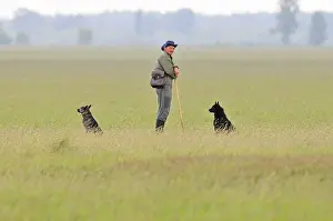 Hungary Landscape Photography Prints: Herder, Shepherd