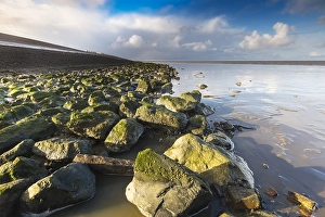 UNESCO World Heritage Site Wadden Sea Prints: Het Wierumerwad, the Wierumerwad