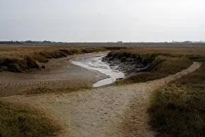 Europe Nature Reserve Prints: Het Zwin