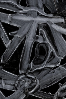 Black And White Winter Scene Prints: Ice crystals