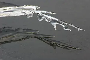 Crystal Ice Formations Prints: ijs, ice