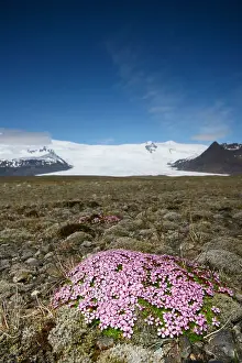 Europe Landscape Prints: Kfjarjokull