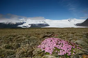 Europe Landscape Prints: Kfjarjokull
