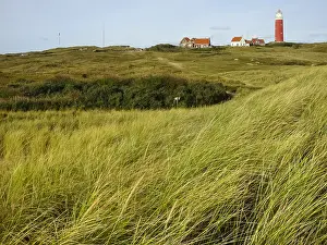 Lighthouse On Texel Island Prints: Landscape at Texel