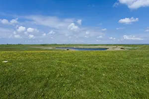 Netherlands Nature Reserve Prints: Landscape at Texel