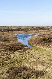 Landscape Print at Texel Lake in Spring