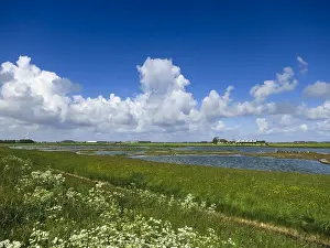 Framed Print : Landscape Print at Texel in Spring Framed Print : Landscape Print at Texel in Spring
