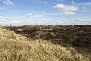 Images Dated 7th April 2008: Landscape Print at Texel Dunes in Spring