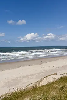 Texel Beach Prints: Landscape at Texel