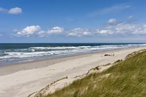 Texel Beach Prints: Landscape at Texel
