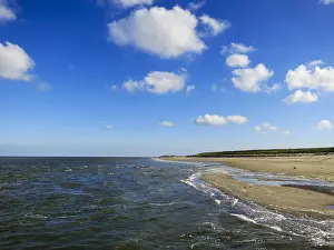 Late Summer Europe Prints: Landscape at Texel