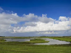 Late Summer Europe Prints: Landscape at Texel